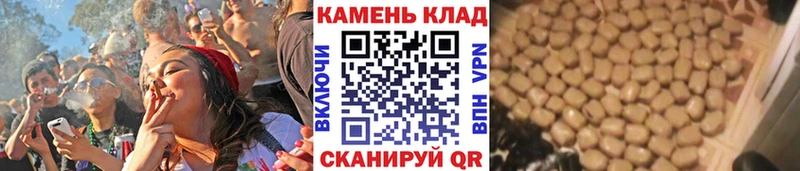 ГАШ убойный  Туринск 