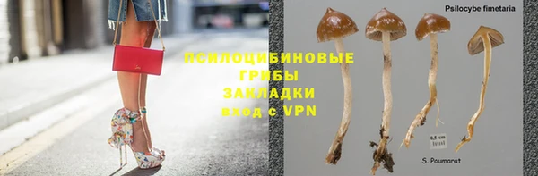 мяу мяу кристалл Алексин